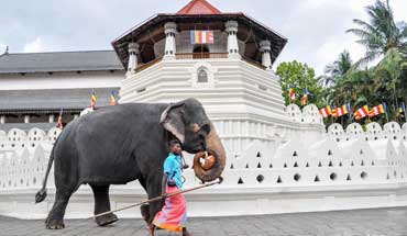 Visit amazing Ceylon Tours