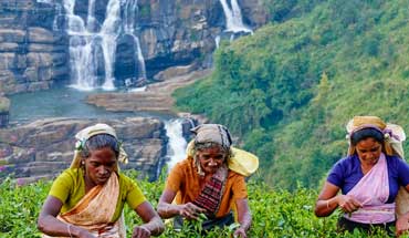 Visit amazing Ceylon Tours